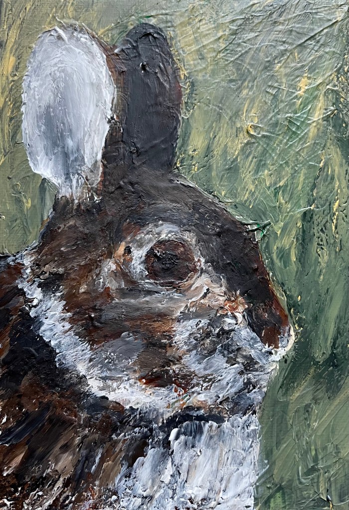 SJI Cottontail